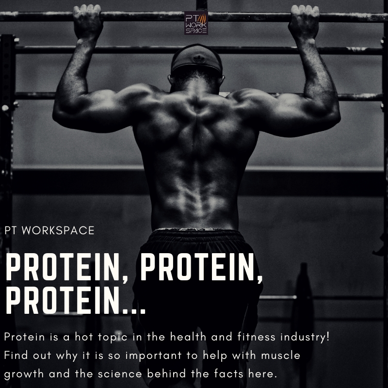 PROTEIN, PROTEIN, PROTEIN…